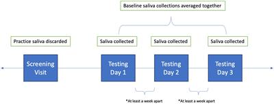 Cross-sectional analysis reveals COVID-19 pandemic community lockdown was linked to dysregulated cortisol and salivary alpha amylase in children